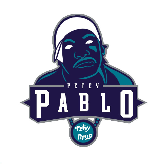 Charlotte Hornets Pablo Logo DIY iron on transfer (heat transfer)